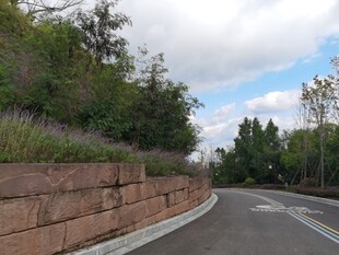 蜿蜒公路旁的绿植护坡