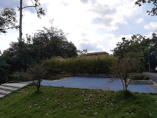 户外美丽的自然景致