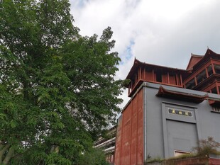 中式古建筑旁绿树成荫