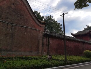 古老红墙旁的绿意景致