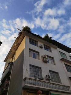 老式居民楼外观