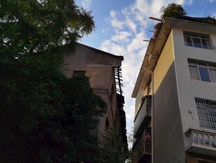 两栋建筑间的绿树蓝天