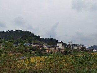 乡村田园风光美景
