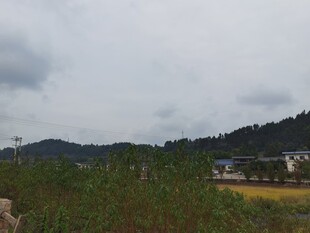乡村绿野间的宁静景致