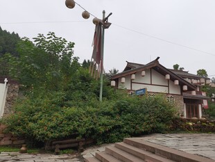 中式建筑旁的绿植与路灯