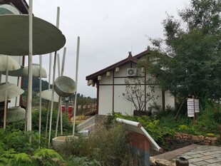 庭院景观绿植环绕的居所