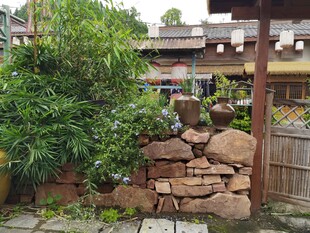 庭院石景绿植景观一角