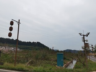 乡村路旁信号灯与自然景观