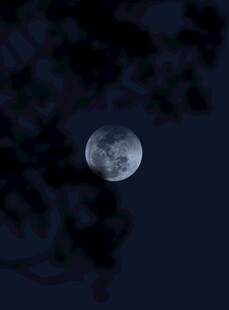 夜空中的皎洁明月