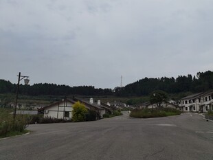 空旷户外道路及周边景致