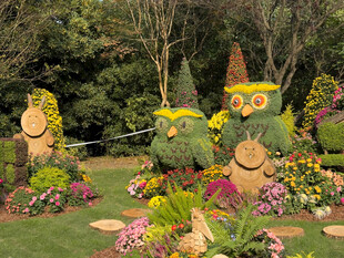 可爱植物造型园艺景观