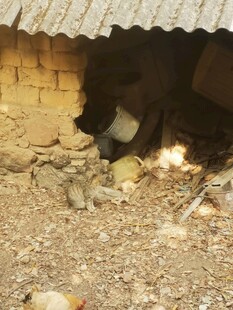 破旧屋檐下的杂乱场景