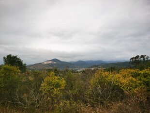 云雾缭绕的山野风光