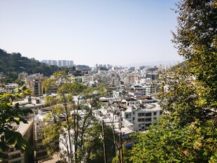 俯瞰城市与葱郁山林景观