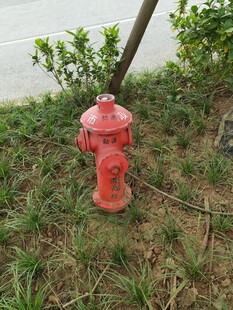 红色消防栓立于草地