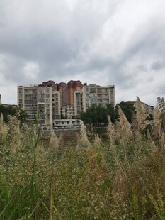 草地旁的多层居民建筑群