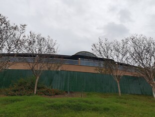 户外绿幕建筑与树木场景