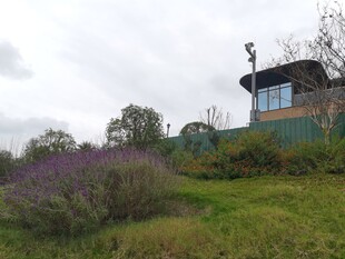 田园小屋旁的紫色花田
