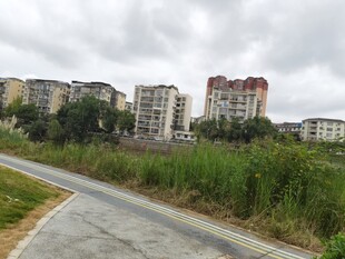 城郊小路旁的居民建筑群