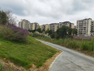 城郊蜿蜒小路旁的住宅楼