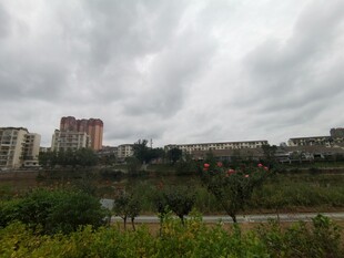 阴天城市远景与绿植景观