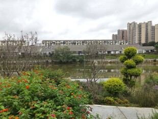 城市湖畔花园景观