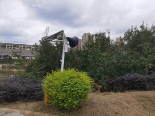 户外绿植旁的指示牌