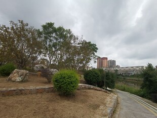 城市中静谧的园林小径