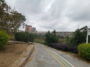 城郊道路风景