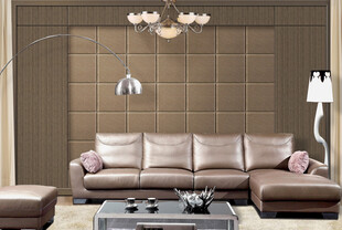 现代奢华真皮沙发客厅场景