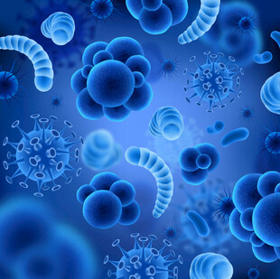 微观世界的多样微生物