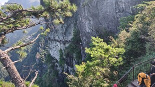 山间苍松与陡峭崖壁