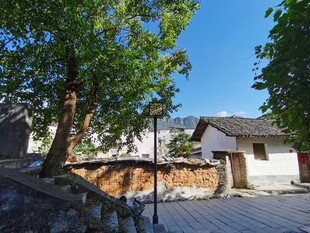 古村小巷绿树掩映的景致