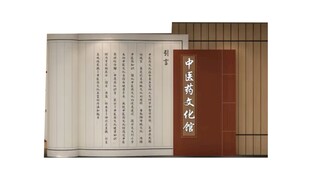 古典竹简书籍展示