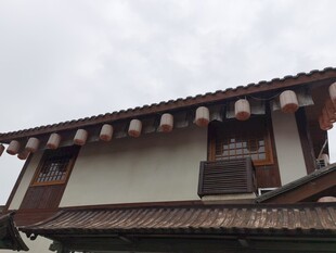 传统风格屋顶建筑一角