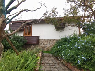 庭院小径旁的温馨小屋