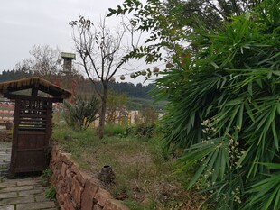 乡村小径旁的古朴小亭