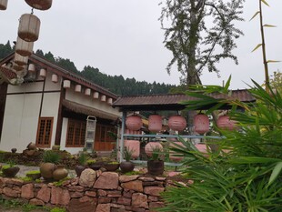 中式庭院景观绿植环绕