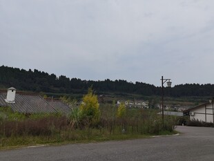 郊外空旷场地与远处建筑