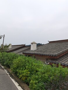 中式屋顶旁的绿植景观