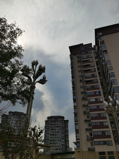 城市高楼与绿树相映成趣