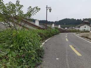 乡村蜿蜒小路绿植相伴