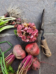 新鲜蔬菜与园艺工具