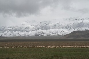 雪山下的广袤原野