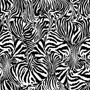 黑白斑马纹抽象图案