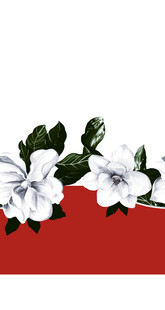 红色背景上的白色栀子花