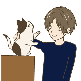 男孩与猫咪的温馨互动