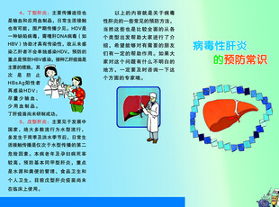 肝脏健康知识科普宣传页