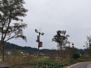 乡村路旁风景