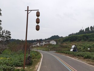 乡村公路旁的中式路灯景观
